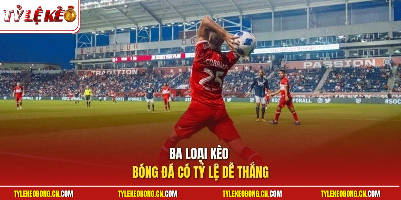 Kèo Cá Độ Dễ Thắng - Chiến Lược Áp Dụng Kèo Ngon Dễ Ăn 2 Ba loại kèo bóng đá có tỷ lệ dễ thắng