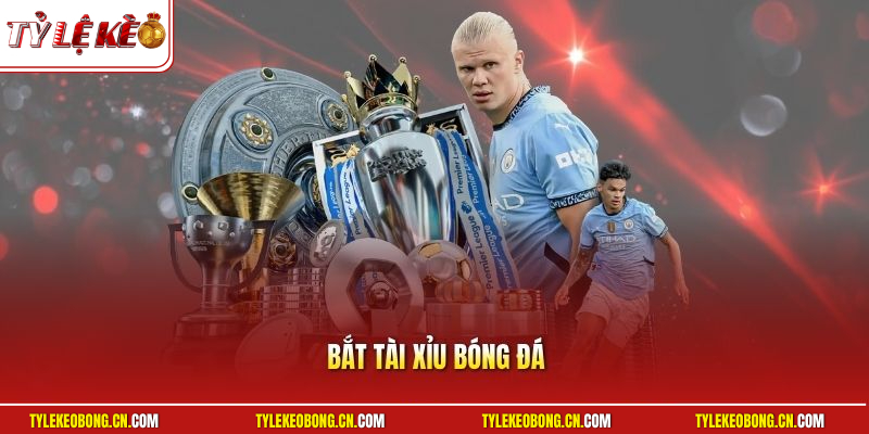 Bắt Tài Xỉu Bóng Đá - Hé Lộ Bí Quyết Làm Giàu Cực Đơn Giản