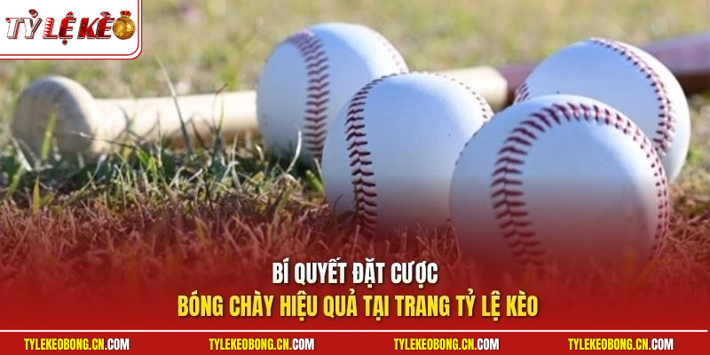 Cá Cược Bóng Chày - Hướng Dẫn Cách Chơi Chi Tiết Từ A Đến Z 3 Bí quyết đặt cược bóng chày hiệu quả tại trang Tỷ Lệ Kèo