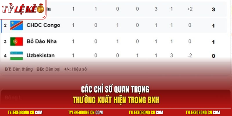 Bảng Xếp Hạng 2 Các chỉ số quan trọng thường xuất hiện trong BXH