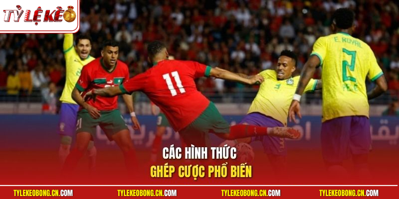 Các hình thức ghép cược phổ biến
