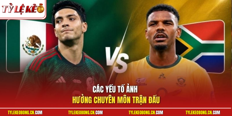 Tỷ Lệ Kèo World Cup - Bùng Nổ Cơ Hội Làm Giàu Cực Nhanh 3 Các yếu tố ảnh hưởng chuyên môn trận đấu