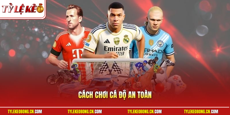 Cách Chơi Cá Độ An Toàn | Bí Quyết Né Bẫy Thu Lãi Cực Đậm