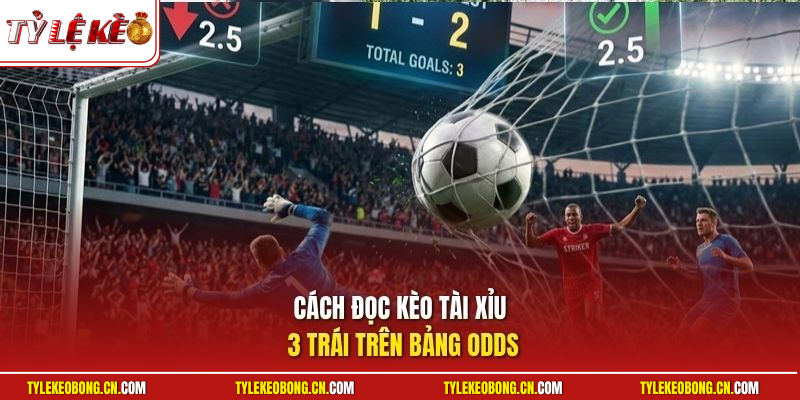 Kèo Tài Xỉu 3 Trái | Tuyệt Chiêu Nhận Định Bóng Rung Lãi To 1 Cách đọc kèo tài xỉu 3 trái trên bảng odds