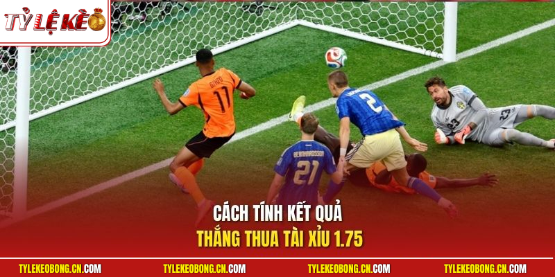Kèo Tài Xỉu 1.75 | Bí Quyết Bắt Cược Tỷ Lệ Thắng Vượt Trội 2 Cách tính kết quả thắng thua tài xỉu 1.75