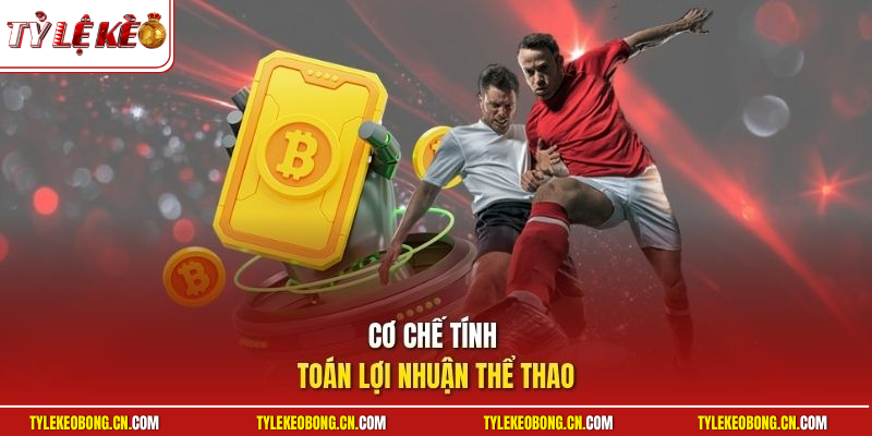 Cơ chế tính toán lợi nhuận thể thao