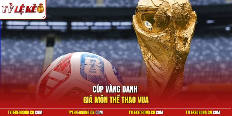 Tỷ Lệ Kèo World Cup - Bùng Nổ Cơ Hội Làm Giàu Cực Nhanh 2 Cúp vàng danh giá môn thể thao vua