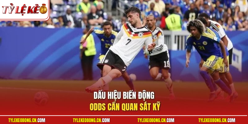 Dấu hiệu biến động odds cần quan sát kỹ