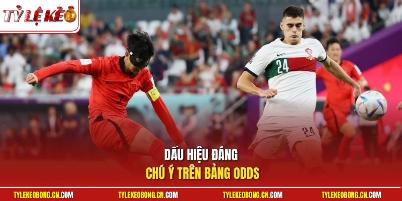 Soi Kèo Cá Cược | Kinh Nghiệm Bắt Đáy Tỷ Lệ Lợi Nhuận Cao 3 Dấu hiệu đáng chú ý trên bảng odds