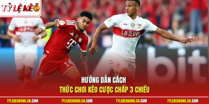 Kèo Cược Chấp 3 Chiều - Kinh Nghiệm Chơi Kèo Cược Chuẩn 2 Hướng dẫn cách thức chơi kèo cược chấp 3 chiều