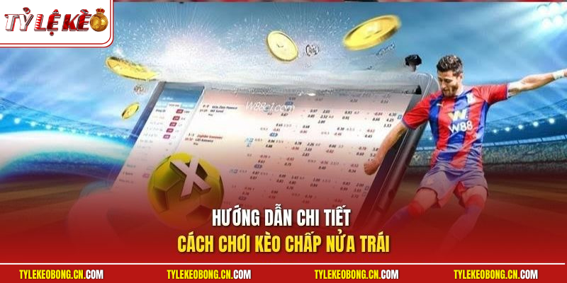 Kèo Chấp Nửa Trái - Hướng Dẫn Cách Chơi Kèo Cực Chuẩn 2 Hướng dẫn chi tiết cách chơi kèo chấp nửa trái