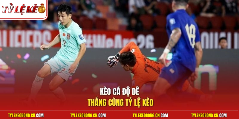 Kèo Cá Độ Dễ Thắng - Chiến Lược Áp Dụng Kèo Ngon Dễ Ăn 1 Kèo cá độ dễ thắng cùng Tỷ Lệ Kèo