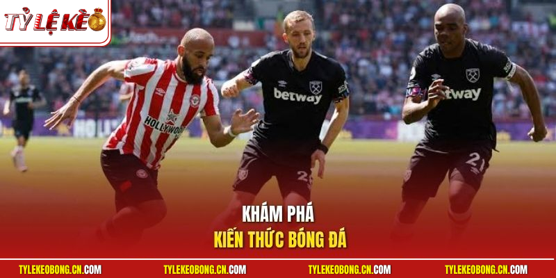 Khám phá kiến thức bóng đá