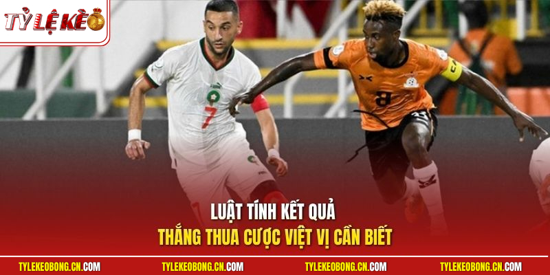 Kèo Việt Vị | Mẹo Cược Nắm Rõ Luật Chơi Thu Lợi Nhuận Cao 2 Luật tính kết quả thắng thua cược việt vị cần biết