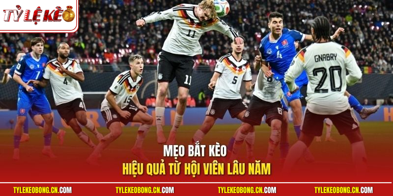 Kèo Phạt Góc - Cẩm Nang Chuẩn Chỉnh Từ Các Cao Thủ Lâu Năm 3 Mẹo bắt kèo hiệu quả từ hội viên lâu năm