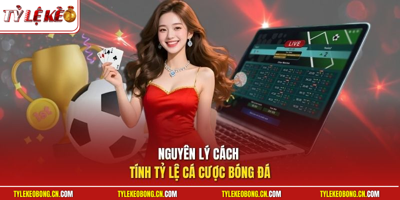 Nguyên lý cách tính tỷ lệ cá cược bóng đá