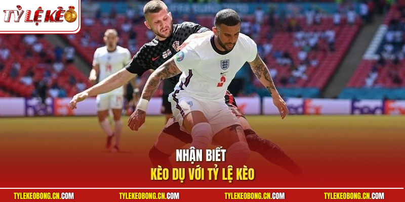Nhận Biết Kèo Dụ Chuẩn Xác Qua Phân Tích Tỷ Lệ Và Biến Động 1 Nhận biết kèo dụ với Tỷ Lệ Kèo