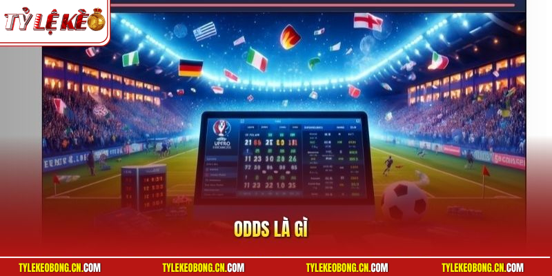 Odds Là Gì? Hướng Dẫn Tính Tiền Thắng Cực Dễ Trong 30s