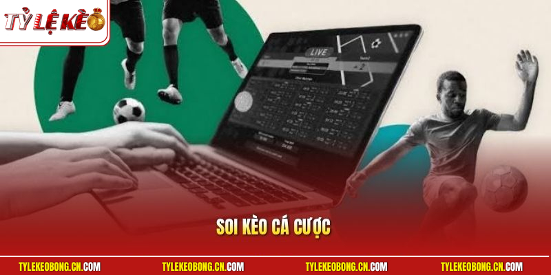 Soi Kèo Cá Cược | Kinh Nghiệm Bắt Đáy Tỷ Lệ Lợi Nhuận Cao