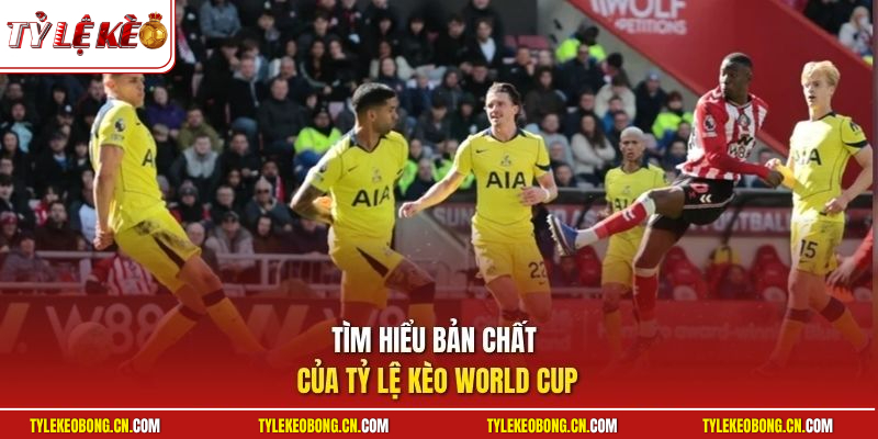 Tỷ Lệ Kèo World Cup - Bùng Nổ Cơ Hội Làm Giàu Cực Nhanh 1 Tìm hiểu bản chất của tỷ lệ kèo World Cup