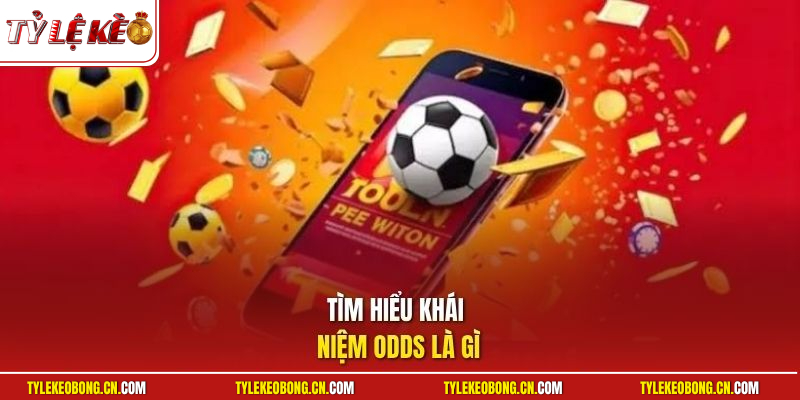 Odds Là Gì? Hướng Dẫn Tính Tiền Thắng Cực Dễ Trong 30s 1 Tìm hiểu khái niệm odds là gì